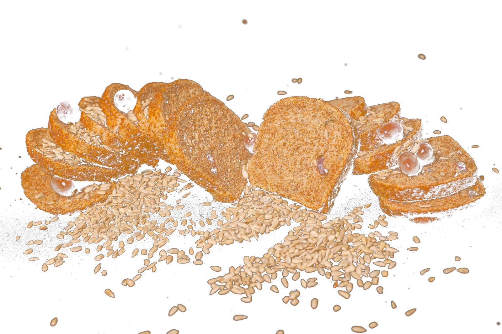GranumVivo — plakken meergranenbrood met zaden